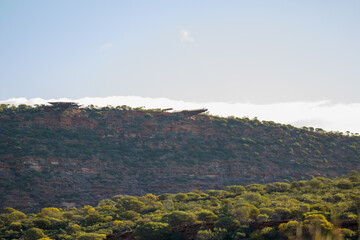 Kalbarri Skywalk from the valley below - Western Australia 