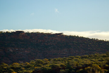 Kalbarri Skywalk from the valley below - Western Australia 
