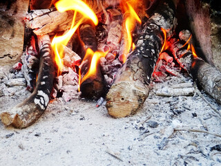 Bonfire in nature, flame for cooking in natural conditions, background image