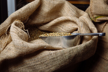 Green, unroasted coffee lies in burlap bags.