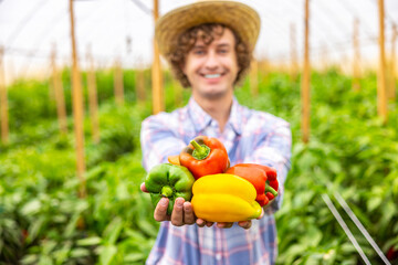 Pleased agriculturist showing off the paprika harvest