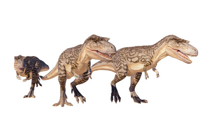 Albertosaurus PNG. Dinosaur Albertosaurus on a blank PNG high resolution background.