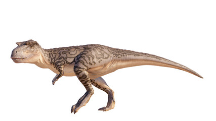 Albertosaurus PNG. Dinosaur Albertosaurus on a blank PNG high resolution background.