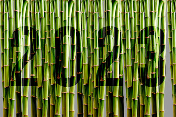 Green Bamboo wall backround in front view