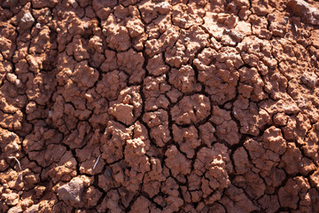 cracked earth - Dry soil texture