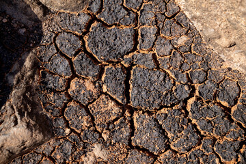 cracked earth - Dry soil texture