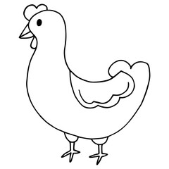 Hand-drawn simple vector sketch with black outline. Poultry, chicken, laying hen, farming, animal. Organic farm, label, coloring. Ink drawing.