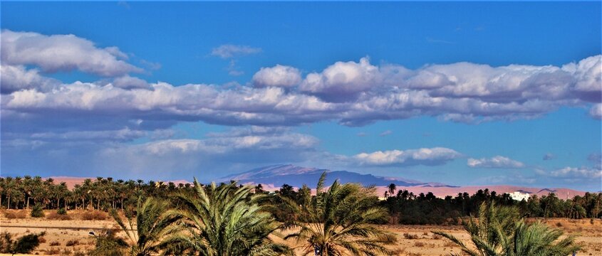 Paysages divers de l'atlas Alg&eacute;rien, Biskra