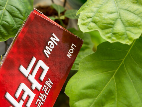 Korean Male Model Images – Browse 28,894 Stock Photos, Vectors, and