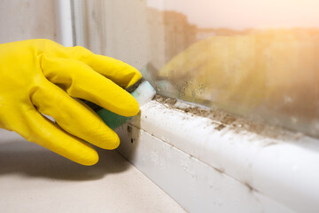 Woman is cleaning A lot of Black mold fungus growing on the windowsill at home. Dampness problem...