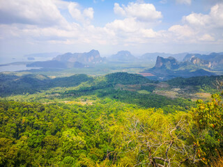 Fototapeta na wymiar Krabi Thailand Dschungel