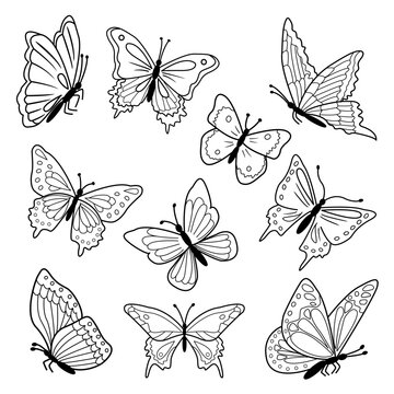 Silhouette of vector flying butterflies isolated on white background