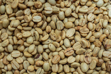 Green coffee beans before roasted