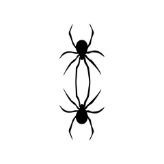 vector illustration of two spiders