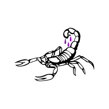 vector illustration of a scorpion with venom