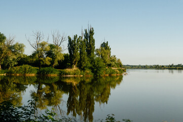 Fototapeta na wymiar Big lake on the horizon with trees and reeds.