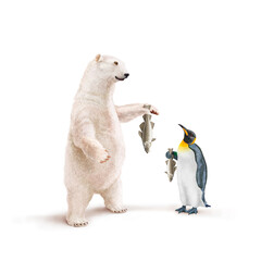 ours blanc, manchot empereur, frigide, morue, poisson à la main, neige, pêcher, montrant, faune, illustration, arctique, hiver, blanc, glace, animal, nature