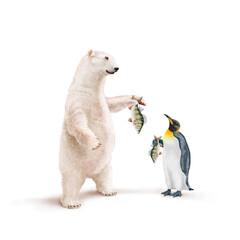 ours blanc, manchot empereur, frigide, perche, poisson à la main, neige, pêcher, montrant, faune, illustration, arctique, hiver, blanc, glace, animal, nature