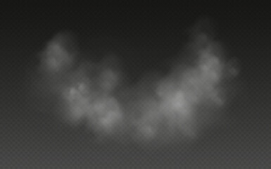 Fog or smoke effect, realistic smog, haze, mist or cloudiness isolated on transparent background. Vector illustration. © Likanaris
