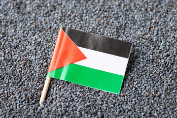 Flag of Palestine in poppy seed. Growing poppy seed in Palestine concept