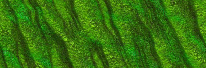 Skin zebra- metal abandoned. Decor african- 3d illustration