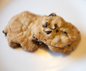 chocolate chip homemade cookies