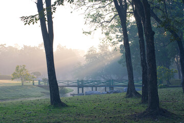 Scenic of the green wooden bridge in the garden on a misty morning