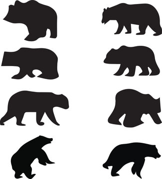    

Beautiful bears silhouette Vector Art. This is an editable silhouette vector  file.