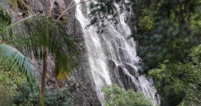 Waterfall Slow Motion in the Forest Surrounded by Leafy Trees 4K