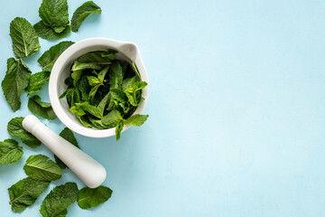 Healing herbs - green mint leaves in mortar for medicine