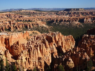 Bryce Canyon View