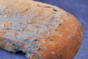  brown bread with mildew. Spoiled products