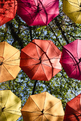 Colorful umbrellas of Holambra