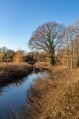 A view along the river, at Barcombe Mills near Lewes in Sussex