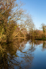 Fototapeta na wymiar A view along the river, at Barcombe Mills near Lewes in Sussex