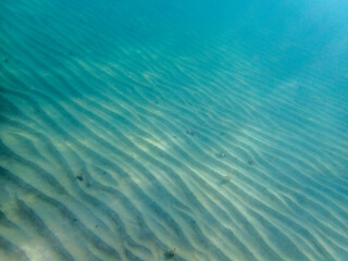 Fondale marino Baia di Calamosche