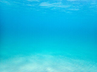 Fondale marino Calamosche