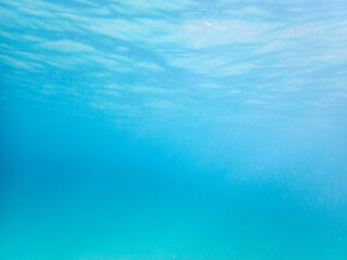 Fondale marino baia di Calamosche