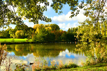 Autumn landscape. Lake view in autumn. Autumn landscape in beautiful colorful nature