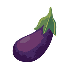 flat purple eggplant