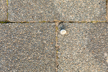 stones background actract