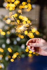hand holding sparkler in front of a christmas tree - 556973702
