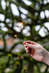 hand holding sparkler in front of a christmas tree - 556973730