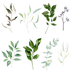 Hand painted watercolor greenery branches set
