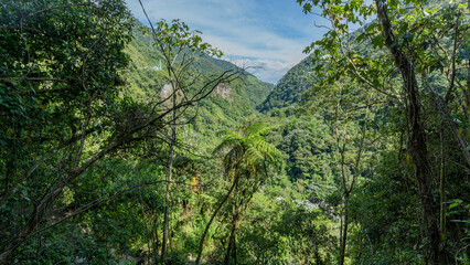 incredible roads surrounded by green in the middle of nature in Ecuador