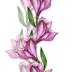 
Watercolor alstroemeria flowers in a seamless pattern. Can be used as fabric, wallpaper, wrap.