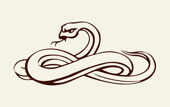 Scary big snake. Vector drawing