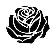 rose, rose bush, rose bouquet sketching, decorative flowers, rose, abstract graphic flower graphic rose