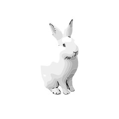 black and white drawing sketch of a rabbit with a transparent background