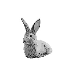 black and white drawing sketch of a rabbit with a transparent background